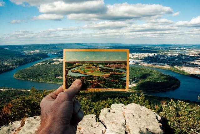 WEBP vs JPG: Which Format Is Best for Your Website
